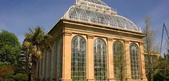 Palm House en verre à Édimbourg, baignée d’une lumière douce