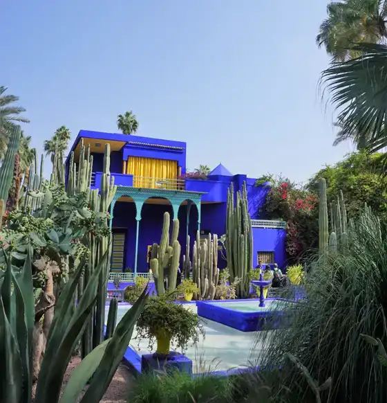 Jardin Majorelle, atelier bleu cobalt et cactus
