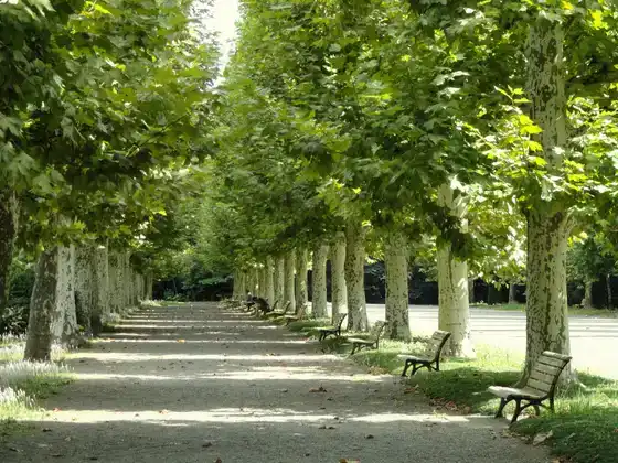 Shinjuku Gyoen, étang et sentiers