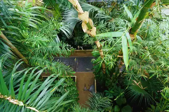 Palm House à Kew Gardens, Londres