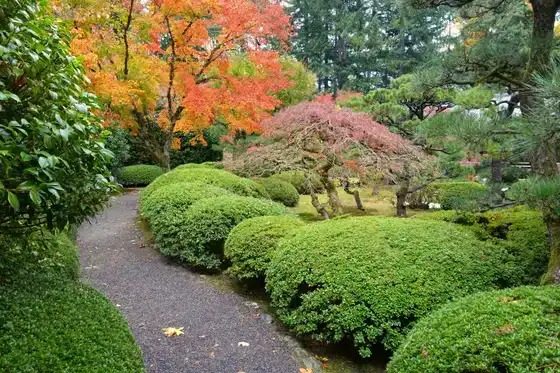 Portland Japanese Garden en automne